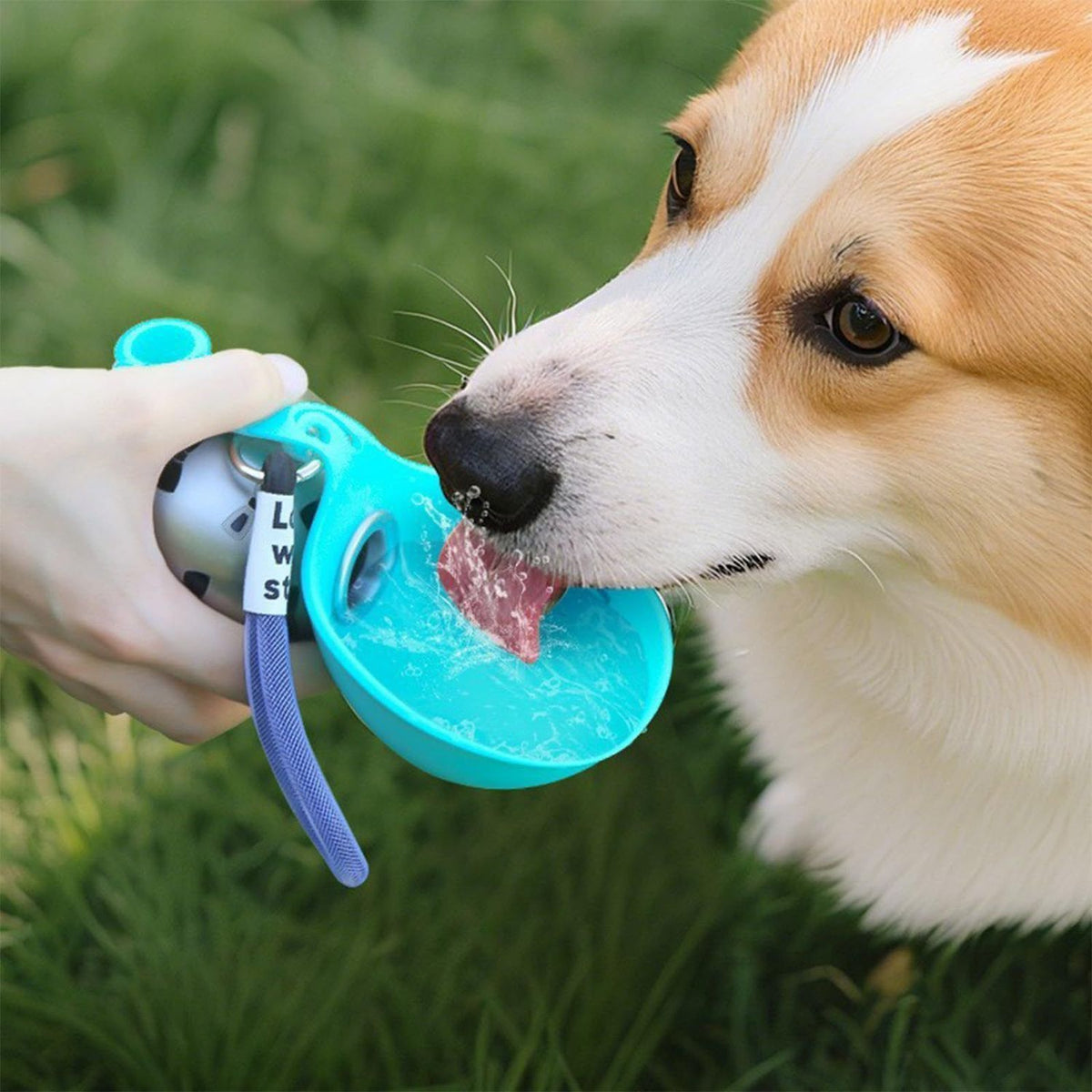 Kitpup Walkies Bottle